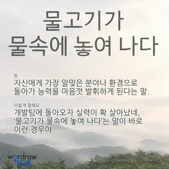 “물고기가 물속에 놓여 나다” 글씨와 뜻·예문이 완성된 속담 영상 포스터