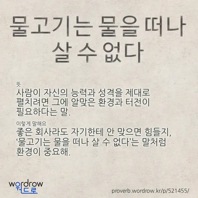“물고기는 물을 떠나 살 수 없다” 글씨와 뜻·예문이 완성된 속담 영상 포스터