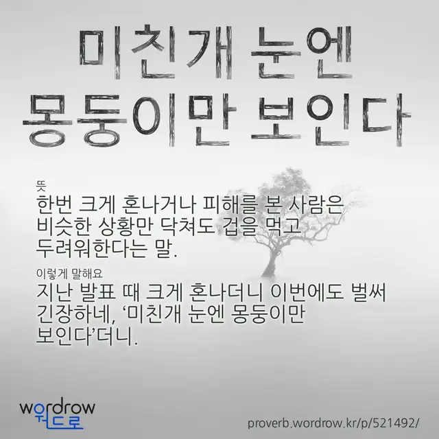 “미친개 눈엔 몽둥이만 보인다” 글씨와 뜻·예문이 완성된 속담 영상 포스터