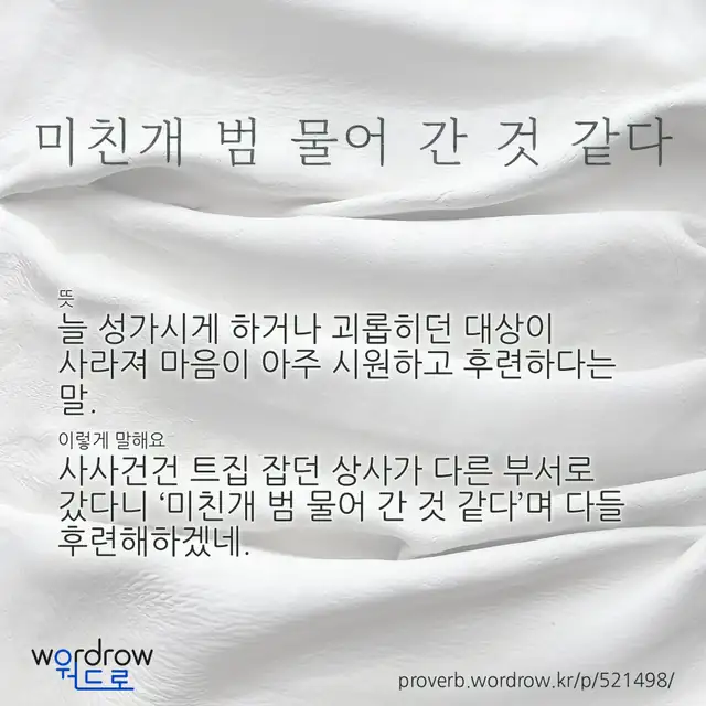 “미친개 범 물어 간 것 같다” 글씨와 뜻·예문이 완성된 속담 영상 포스터
