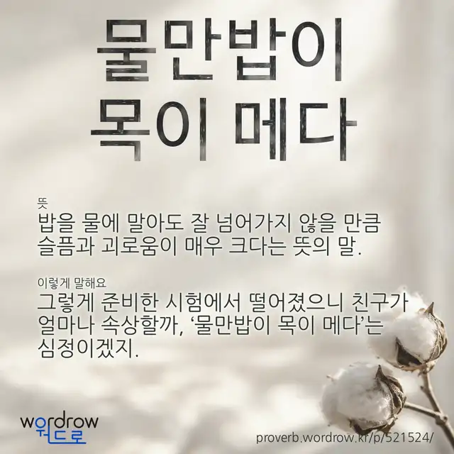 “물만밥이 목이 메다” 글씨와 뜻·예문이 완성된 속담 영상 포스터
