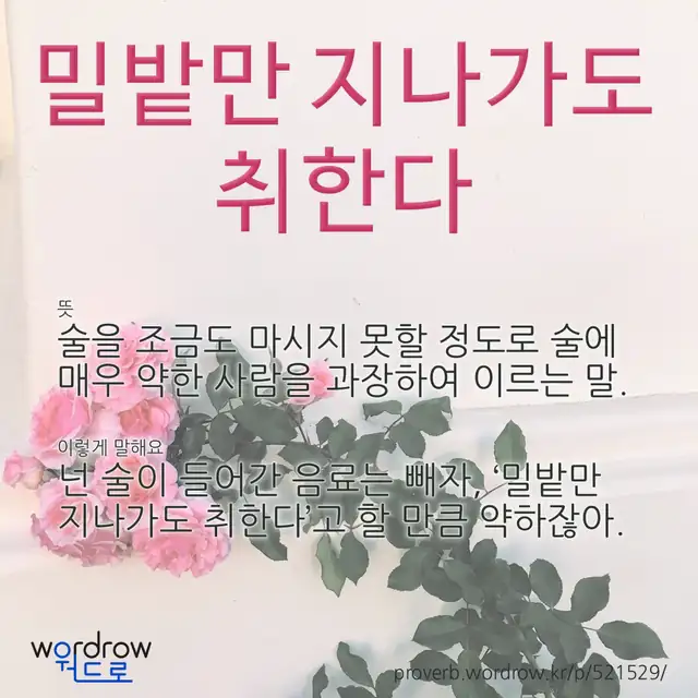 “밀밭만 지나가도 취한다” 글씨와 뜻·예문이 완성된 속담 영상 포스터