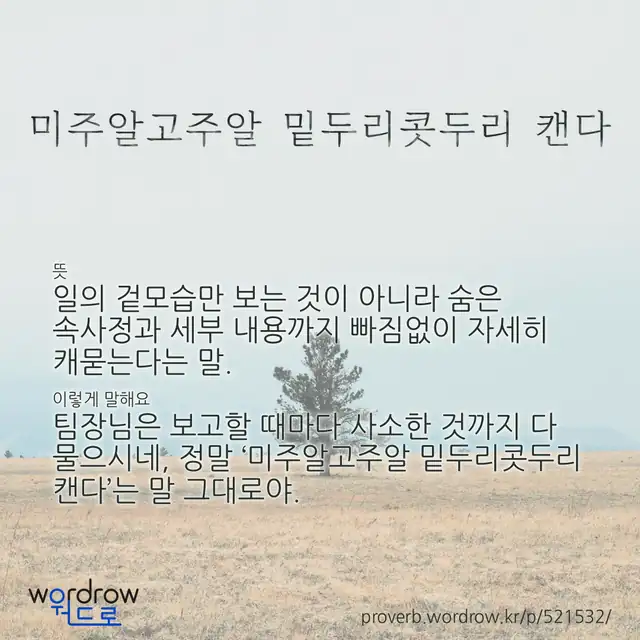 “미주알고주알 밑두리콧두리 캔다” 글씨와 뜻·예문이 완성된 속담 영상 포스터