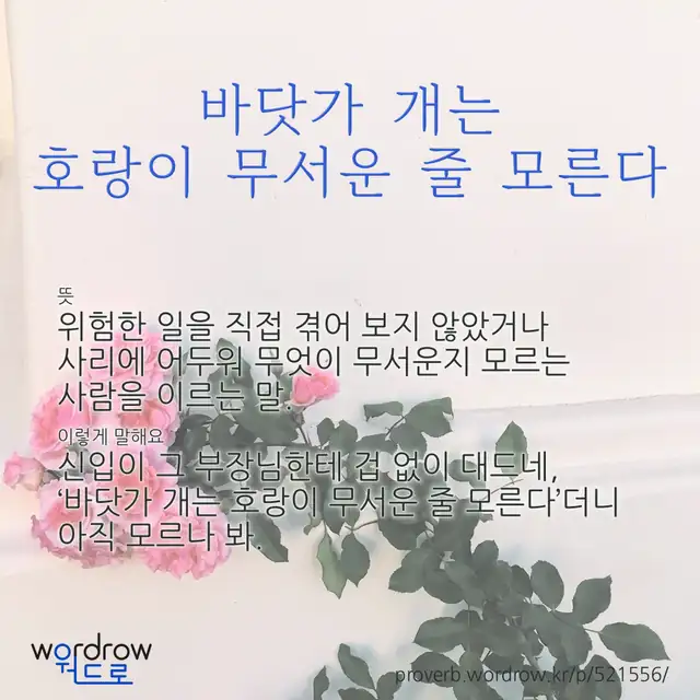 “바닷가 개는 호랑이 무서운 줄 모른다” 글씨와 뜻·예문이 완성된 속담 영상 포스터