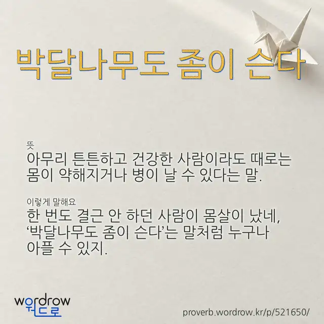“박달나무도 좀이 슨다” 글씨와 뜻·예문이 완성된 속담 영상 포스터