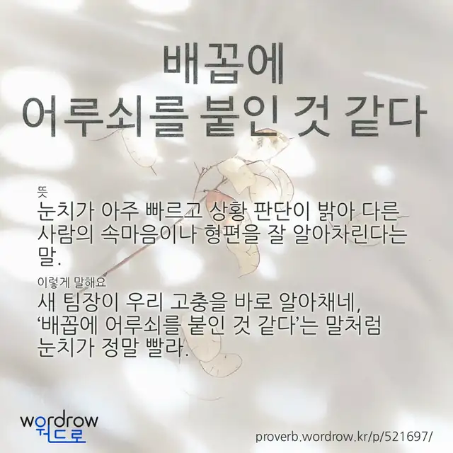 “배꼽에 어루쇠를 붙인 것 같다” 글씨와 뜻·예문이 완성된 속담 영상 포스터