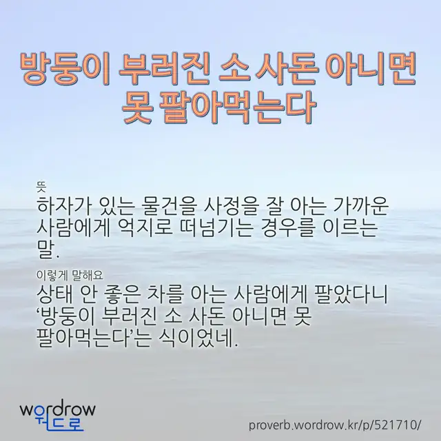 “방둥이 부러진 소 사돈 아니면 못 팔아먹는다” 글씨와 뜻·예문이 완성된 속담 영상 포스터