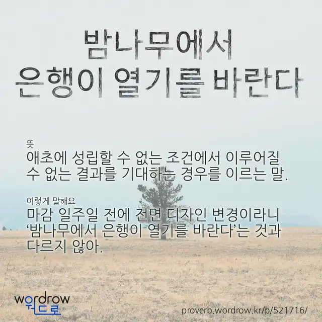 “밤나무에서 은행이 열기를 바란다” 글씨와 뜻·예문이 완성된 속담 영상 포스터