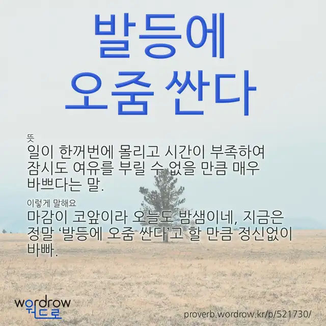 “발등에 오줌 싼다” 글씨와 뜻·예문이 완성된 속담 영상 포스터