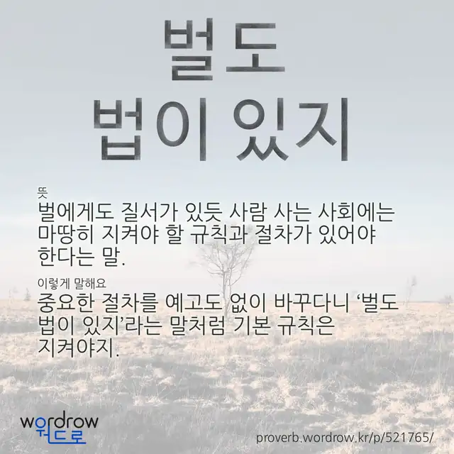 “벌도 법이 있지” 글씨와 뜻·예문이 완성된 속담 영상 포스터