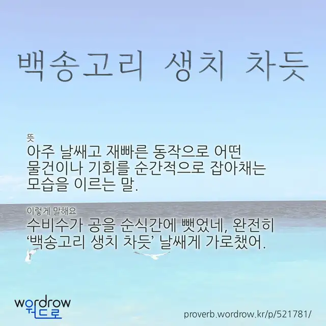 “백송고리 생치 차듯” 글씨와 뜻·예문이 완성된 속담 영상 포스터