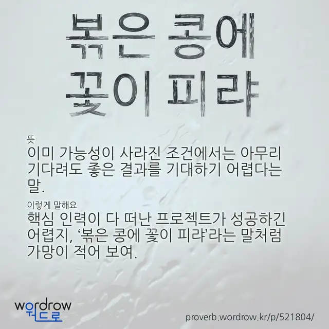“볶은 콩에 꽃이 피랴” 글씨와 뜻·예문이 완성된 속담 영상 포스터