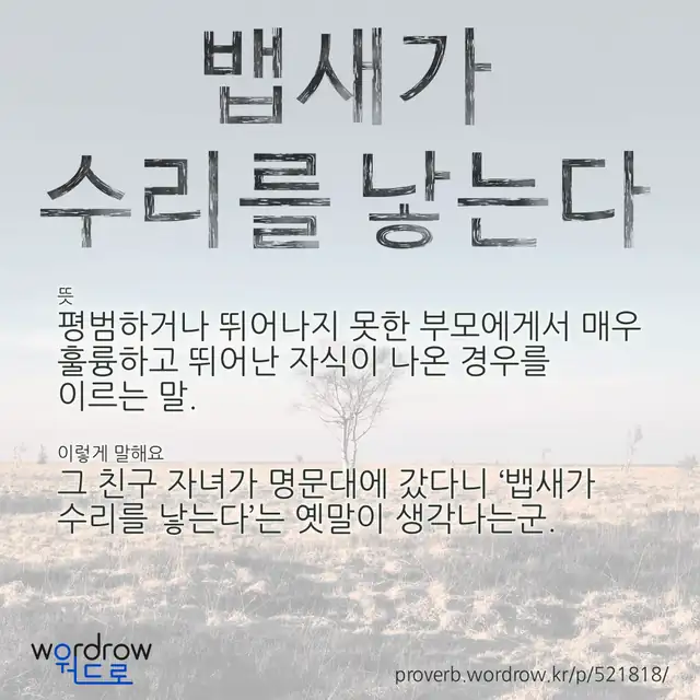 “뱁새가 수리를 낳는다” 글씨와 뜻·예문이 완성된 속담 영상 포스터