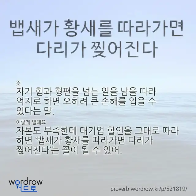 “뱁새가 황새를 따라가면 다리가 찢어진다” 글씨와 뜻·예문이 완성된 속담 영상 포스터