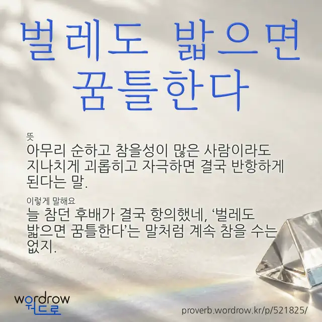 “벌레도 밟으면 꿈틀한다” 글씨와 뜻·예문이 완성된 속담 영상 포스터
