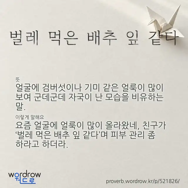 “벌레 먹은 배추 잎 같다” 글씨와 뜻·예문이 완성된 속담 영상 포스터