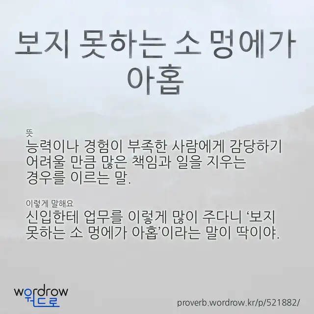 “보지 못하는 소 멍에가 아홉” 글씨와 뜻·예문이 완성된 속담 영상 포스터