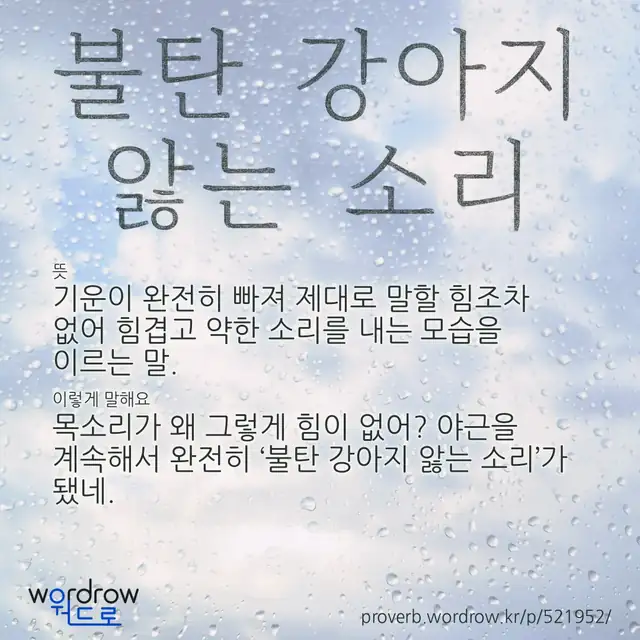 “불탄 강아지 앓는 소리” 글씨와 뜻·예문이 완성된 속담 영상 포스터