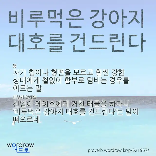 “비루먹은 강아지 대호를 건드린다” 글씨와 뜻·예문이 완성된 속담 영상 포스터