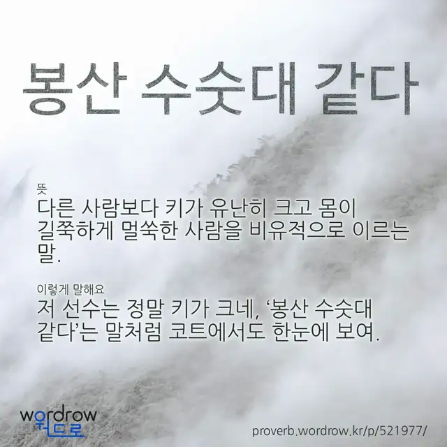“봉산 수숫대 같다” 글씨와 뜻·예문이 완성된 속담 영상 포스터