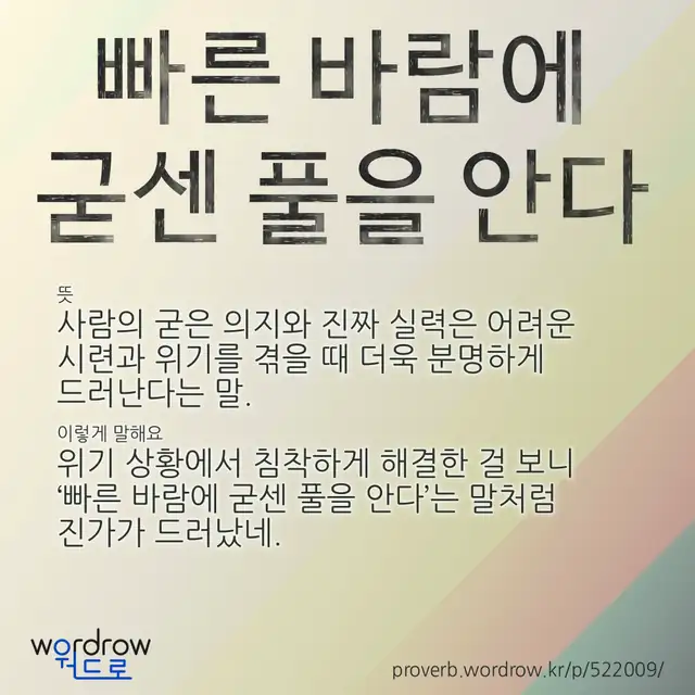 “빠른 바람에 굳센 풀을 안다” 글씨와 뜻·예문이 완성된 속담 영상 포스터