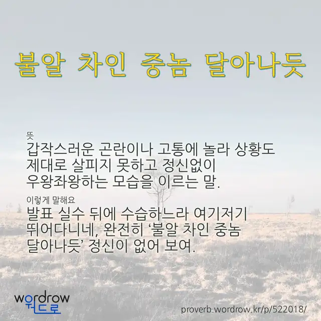“불알 차인 중놈 달아나듯” 글씨와 뜻·예문이 완성된 속담 영상 포스터