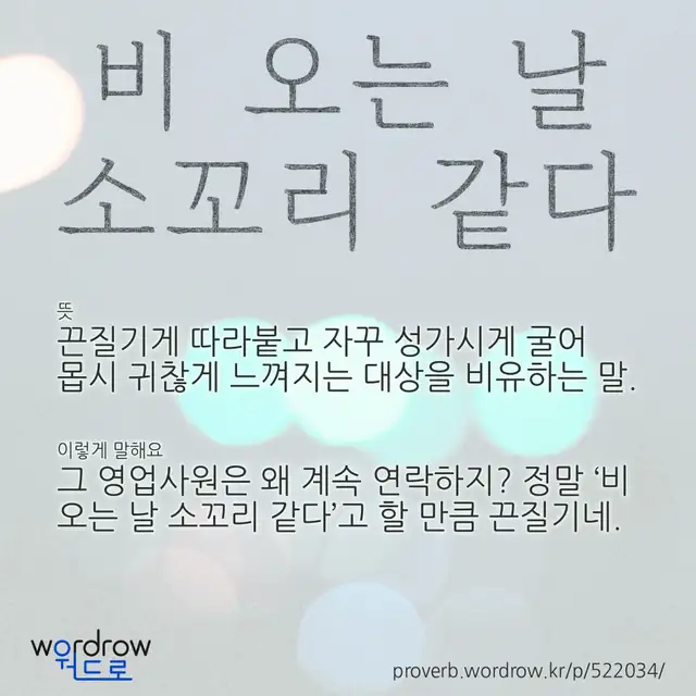 “비 오는 날 소꼬리 같다” 글씨와 뜻·예문이 완성된 속담 영상 포스터