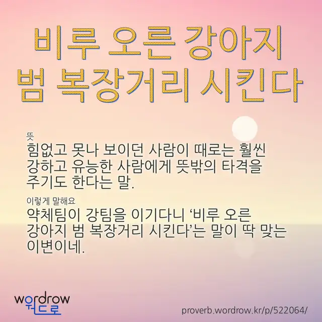 “비루 오른 강아지 범 복장거리 시킨다” 글씨와 뜻·예문이 완성된 속담 영상 포스터