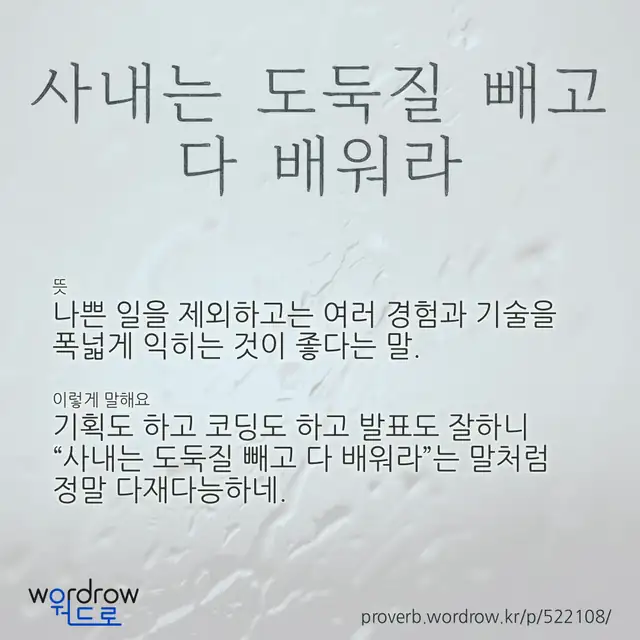 “사내는 도둑질 빼고 다 배워라” 글씨와 뜻·예문이 완성된 속담 영상 포스터
