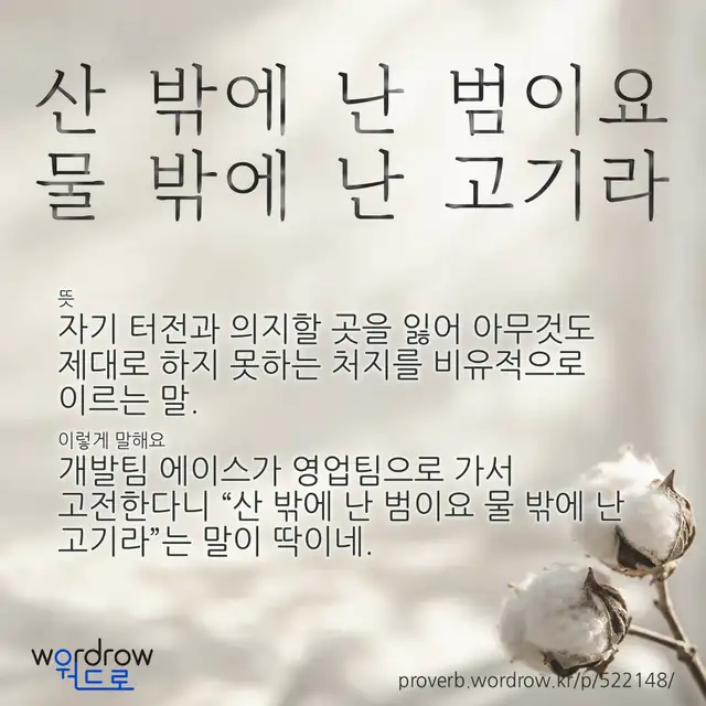 “산 밖에 난 범이요 물 밖에 난 고기라” 글씨와 뜻·예문이 완성된 속담 영상 포스터