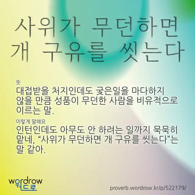“사위가 무던하면 개 구유를 씻는다” 글씨와 뜻·예문이 완성된 속담 영상 포스터