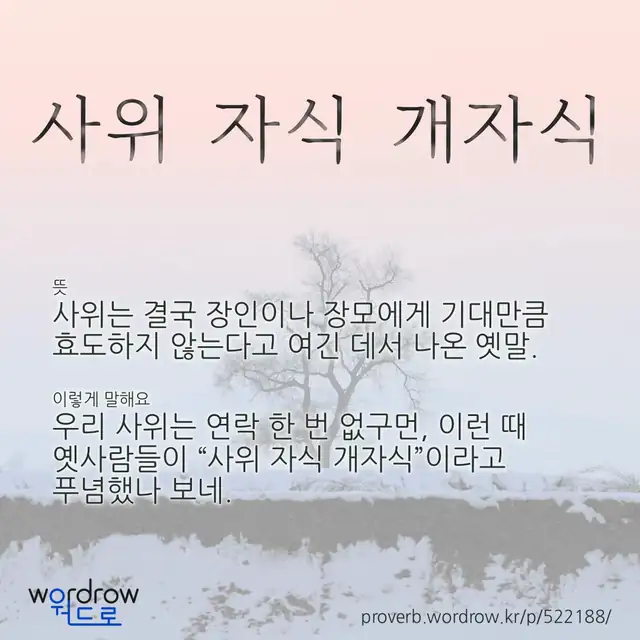 “사위 자식 개자식” 글씨와 뜻·예문이 완성된 속담 영상 포스터