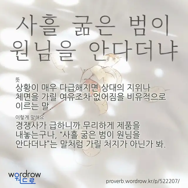 “사흘 굶은 범이 원님을 안다더냐” 글씨와 뜻·예문이 완성된 속담 영상 포스터