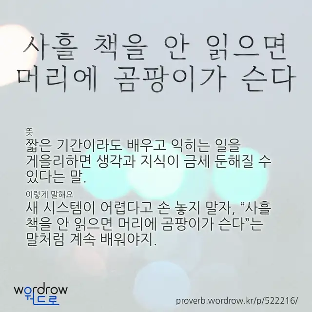 “사흘 책을 안 읽으면 머리에 곰팡이가 슨다” 글씨와 뜻·예문이 완성된 속담 영상 포스터