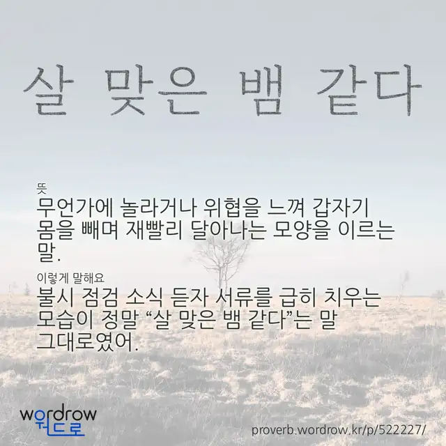 “살 맞은 뱀 같다” 글씨와 뜻·예문이 완성된 속담 영상 포스터