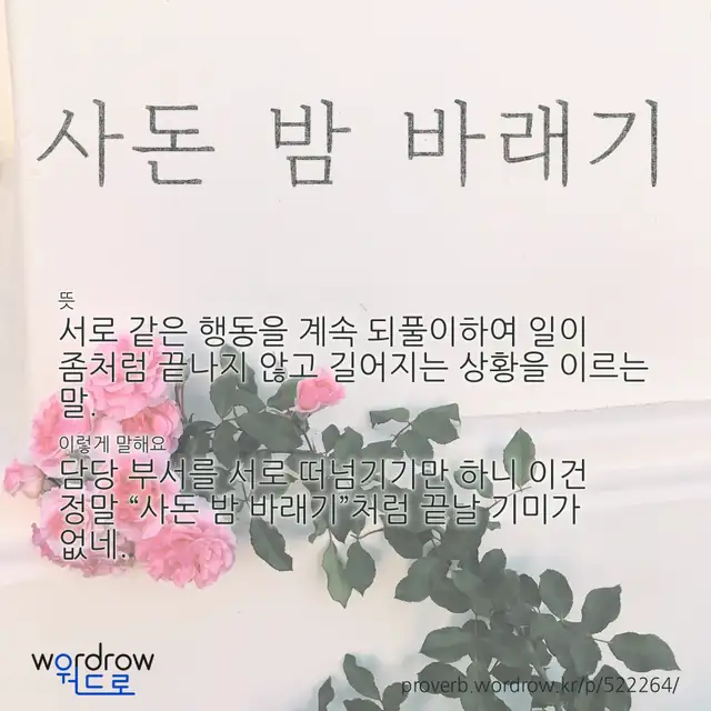 “사돈 밤 바래기” 글씨와 뜻·예문이 완성된 속담 영상 포스터