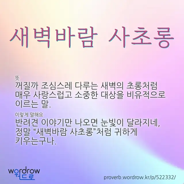 “새벽바람 사초롱” 글씨와 뜻·예문이 완성된 속담 영상 포스터