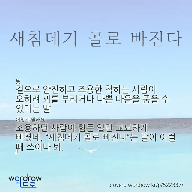 “새침데기 골로 빠진다” 글씨와 뜻·예문이 완성된 속담 영상 포스터
