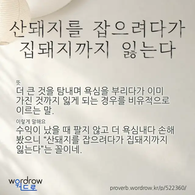“산돼지를 잡으려다가 집돼지까지 잃는다” 글씨와 뜻·예문이 완성된 속담 영상 포스터