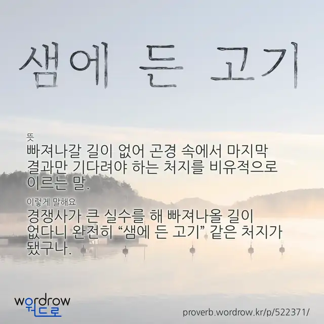 “샘에 든 고기” 글씨와 뜻·예문이 완성된 속담 영상 포스터