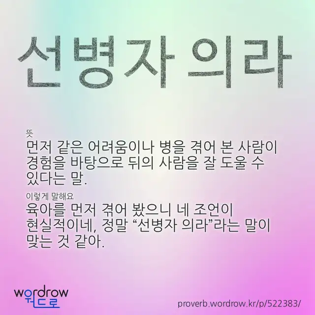 “선병자 의라” 글씨와 뜻·예문이 완성된 속담 영상 포스터