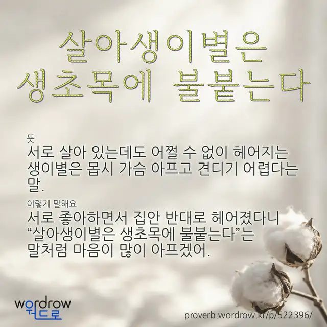 “살아생이별은 생초목에 불붙는다” 글씨와 뜻·예문이 완성된 속담 영상 포스터
