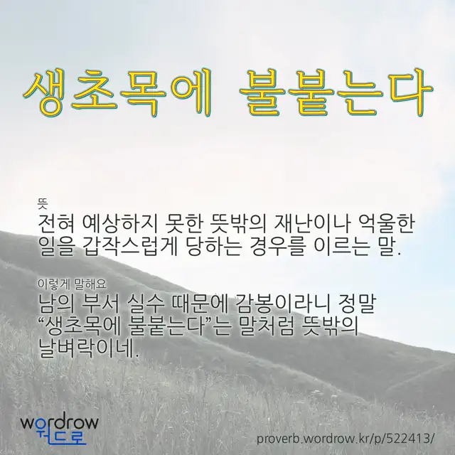 “생초목에 불붙는다” 글씨와 뜻·예문이 완성된 속담 영상 포스터