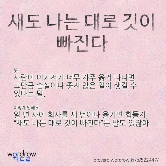 “새도 나는 대로 깃이 빠진다” 글씨와 뜻·예문이 완성된 속담 영상 포스터