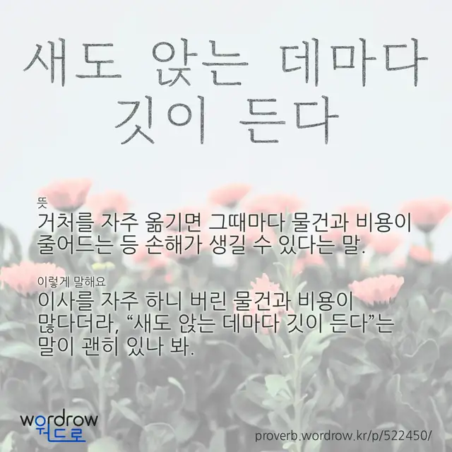 “새도 앉는 데마다 깃이 든다” 글씨와 뜻·예문이 완성된 속담 영상 포스터