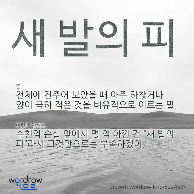 “새 발의 피” 글씨와 뜻·예문이 완성된 속담 영상 포스터