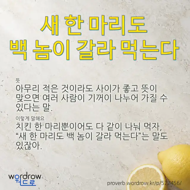 “새 한 마리도 백 놈이 갈라 먹는다” 글씨와 뜻·예문이 완성된 속담 영상 포스터