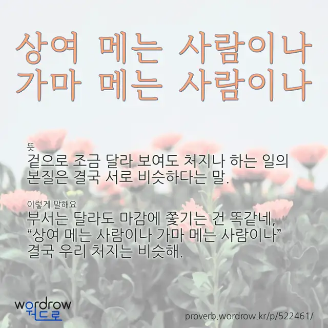 “상여 메는 사람이나 가마 메는 사람이나” 글씨와 뜻·예문이 완성된 속담 영상 포스터