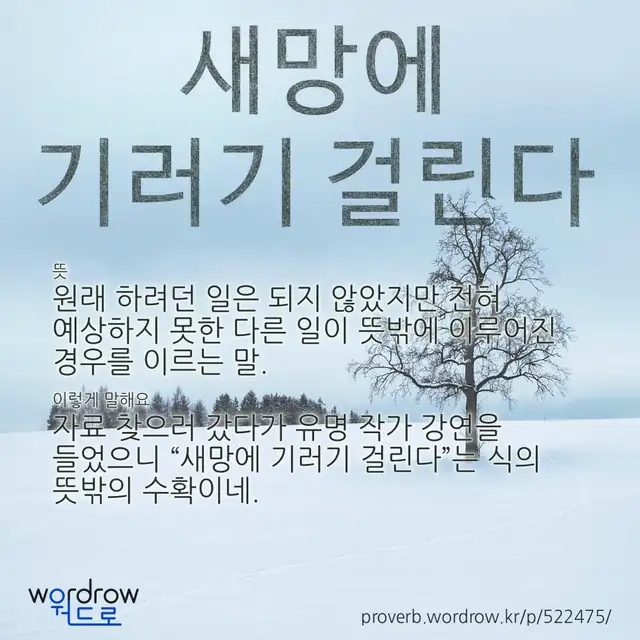 “새망에 기러기 걸린다” 글씨와 뜻·예문이 완성된 속담 영상 포스터