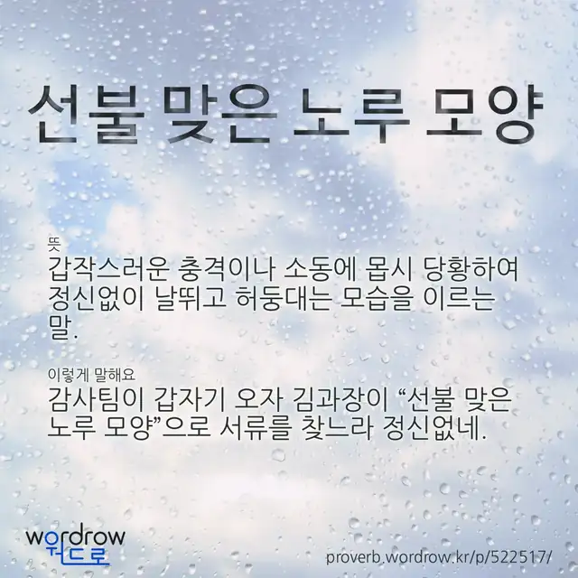 “선불 맞은 노루 모양” 글씨와 뜻·예문이 완성된 속담 영상 포스터